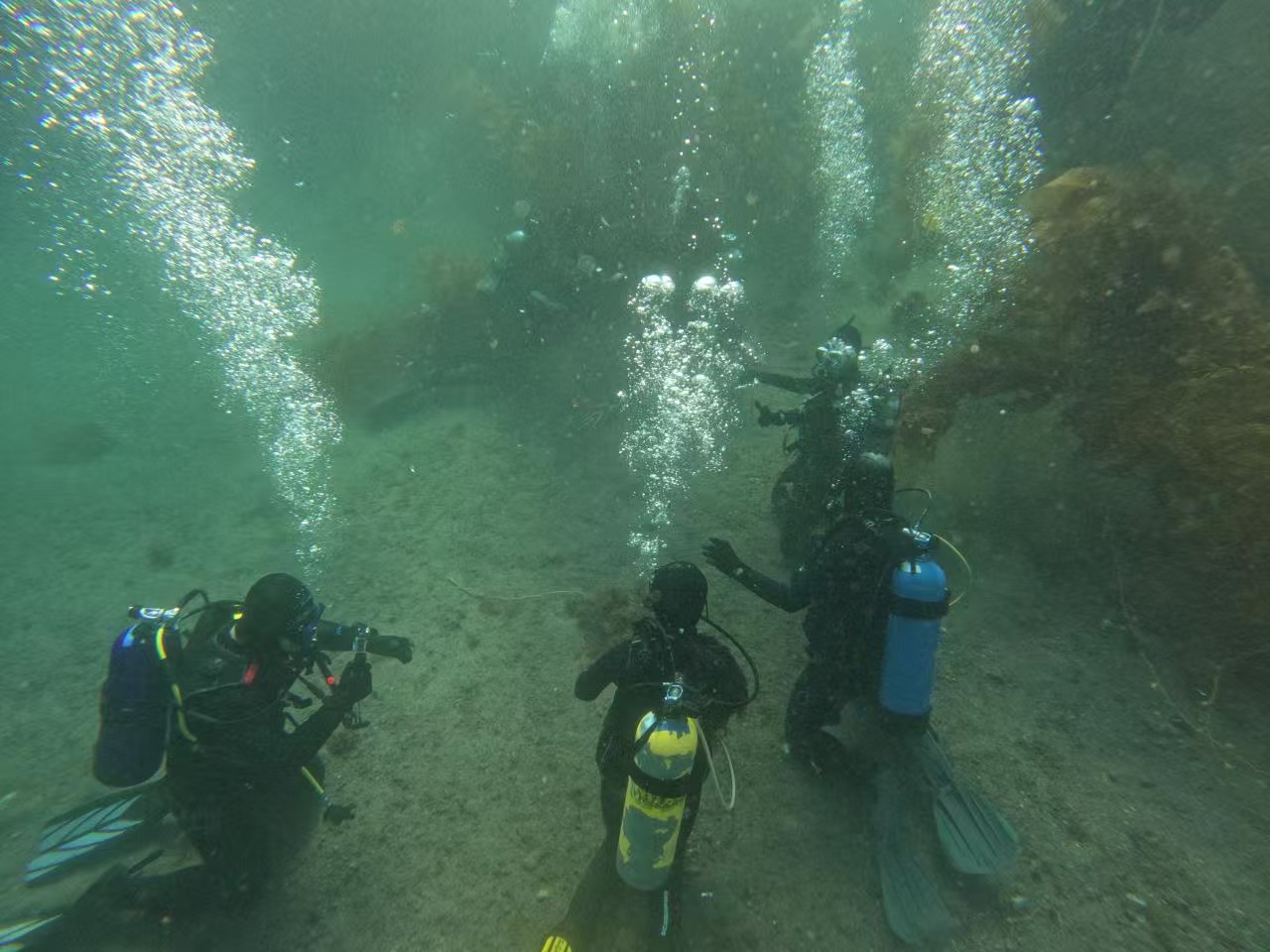 Divers collecting debris from seafloor