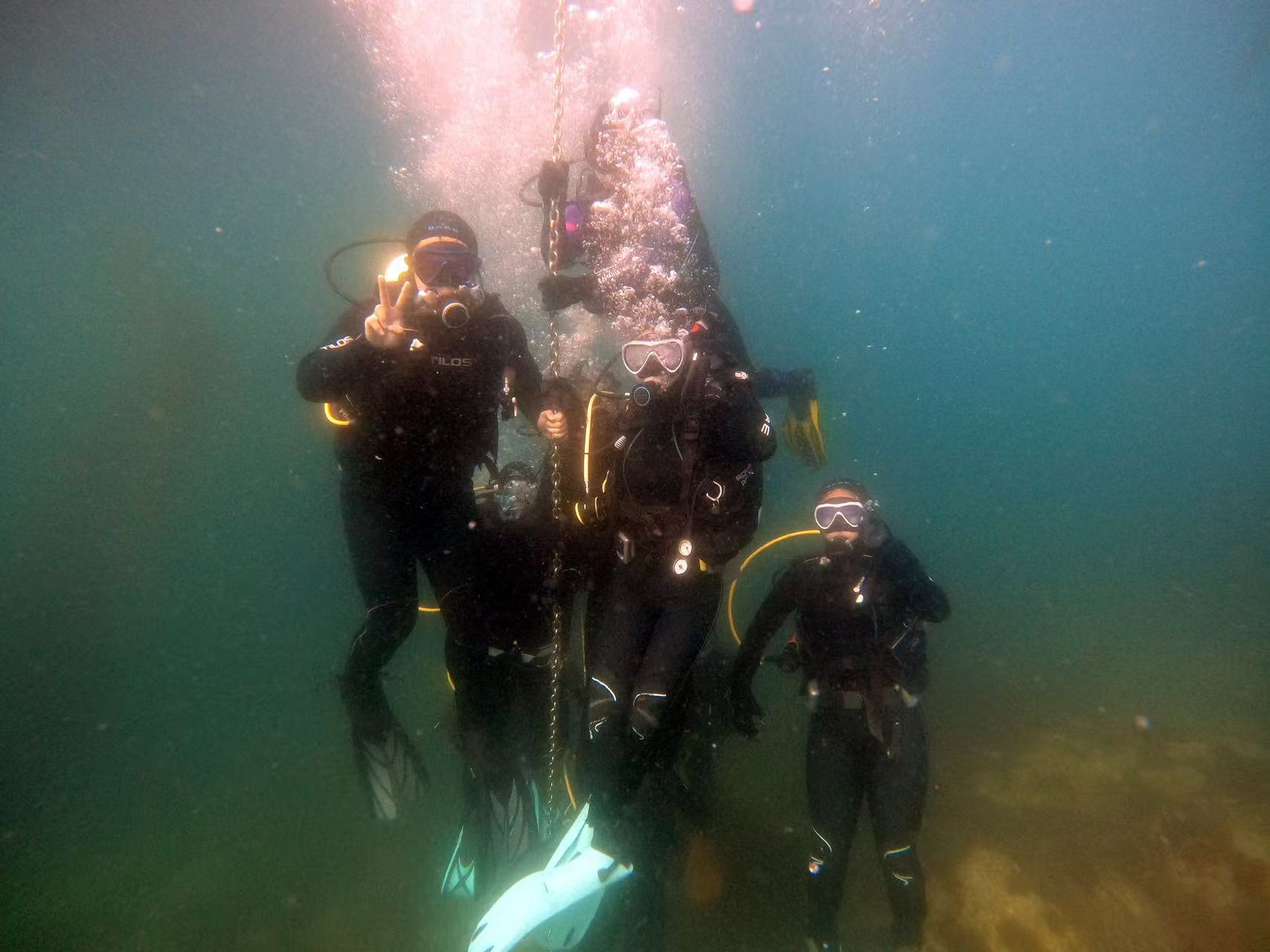 Group of divers underwater