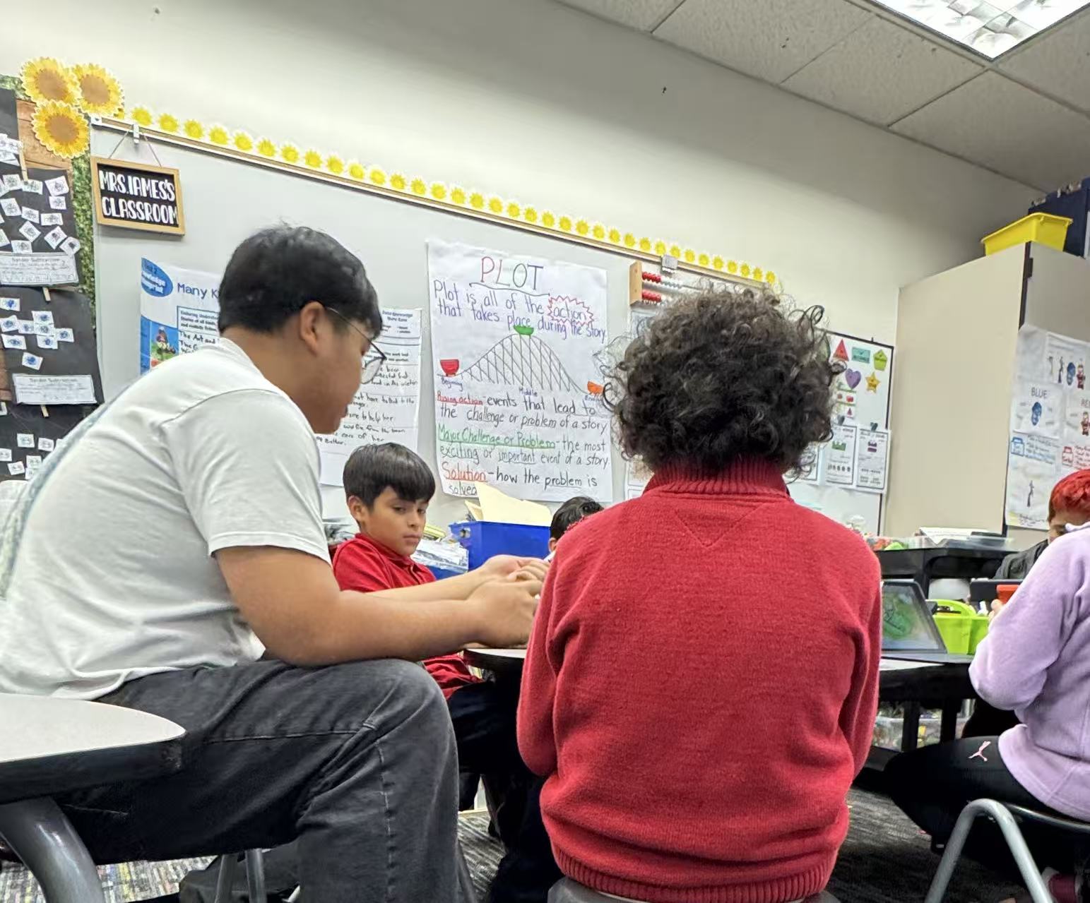 Lecturing Youth on Language Diversity