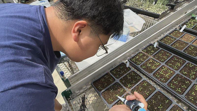 🔬 UCLA Joint Science Researcher featured image